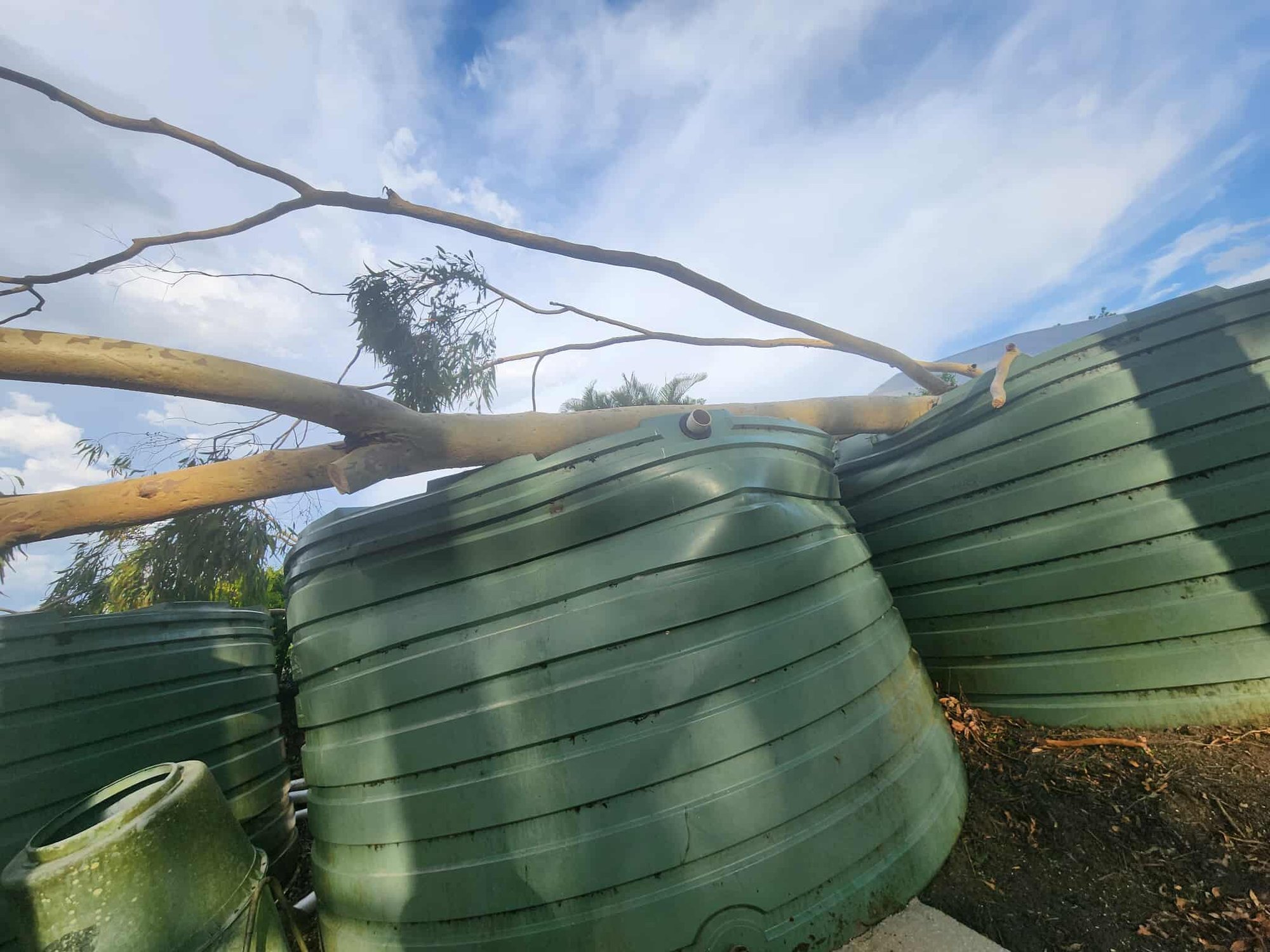 Bushamns Tanks recover from tree fallen Bushamns Tanks recover from tree fallen
